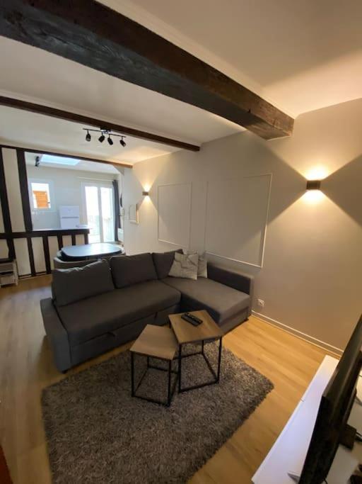 Appartement Charmant Hypercentre Avec Patio Prive Et Parking Orléans Eksteriør bilde